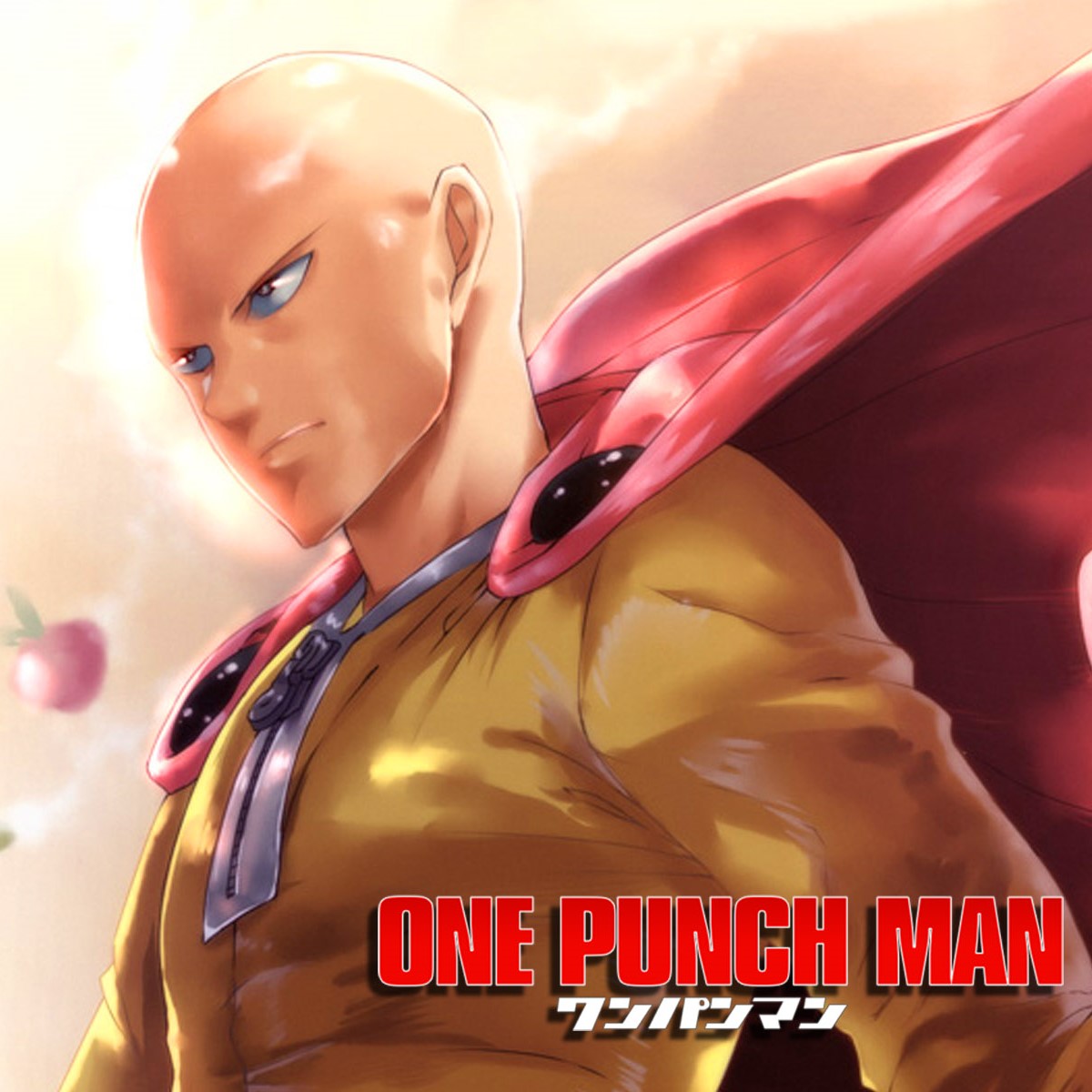 One Punch Man